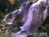 bHXq.gif